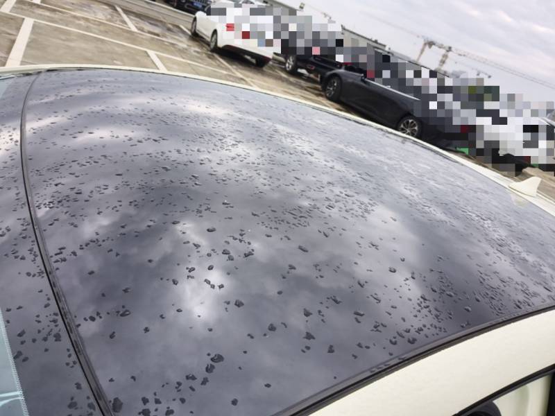 Used BYD Dolphin 2021 405 km Fashion Edition — 26