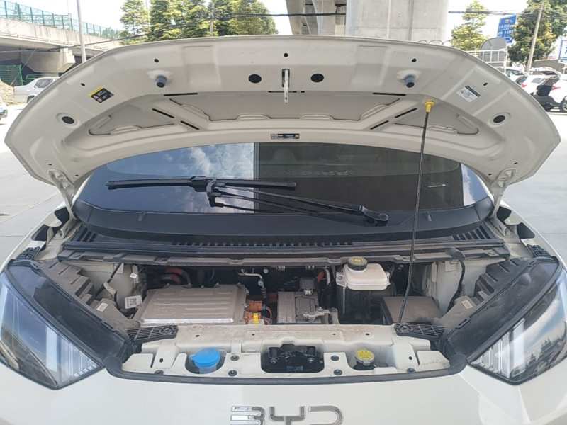 Used BYD Seagull 2025 305 km Free Version — 19