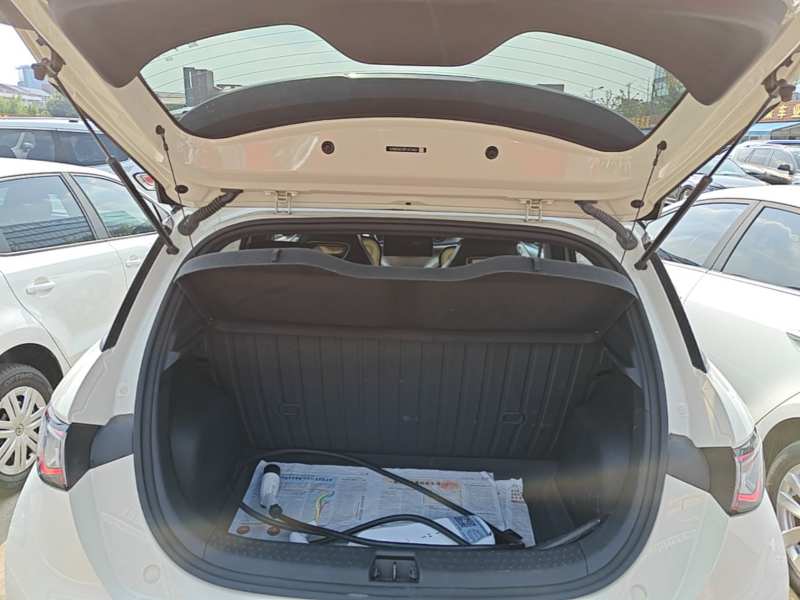 Used BYD Dolphin 2023 420 km Free Version — 18