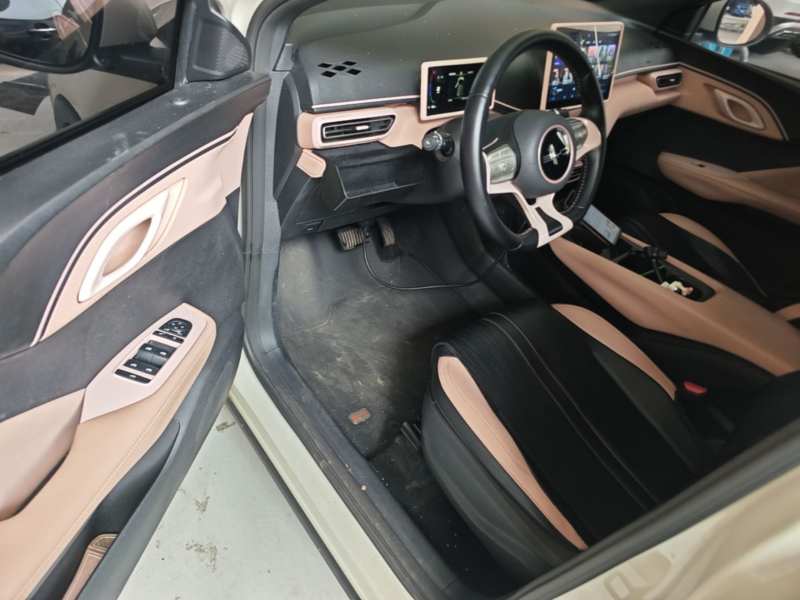 Used BYD Seagull 2023 Free Edition — 15