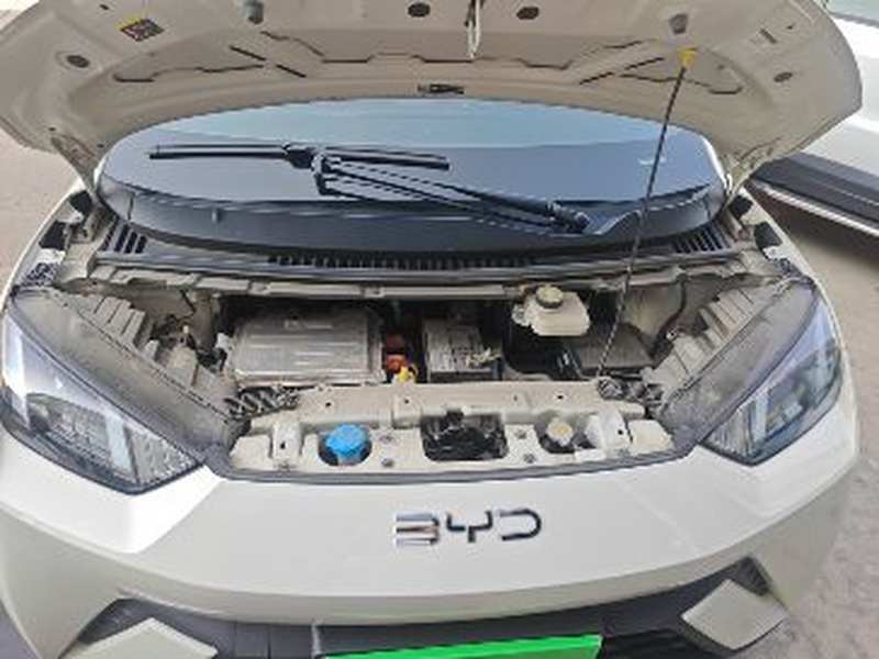 Used BYD Seagull 2025 305km Active Version — 19