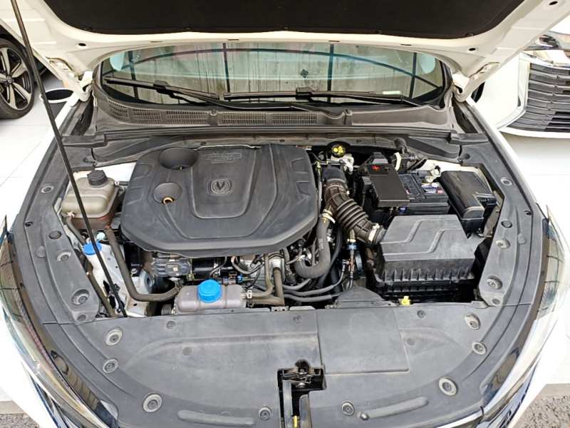 Used CHANGAN Eado 2021 PLUS Blue Whale NE 1.4T GDI DCT Prestige Model — 19