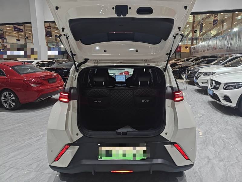 Used BYD Seagull 2023 Free Edition — 18