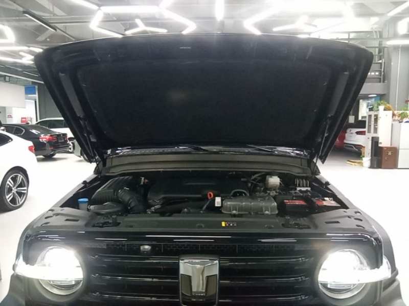 Used Tank 300 2024 2.0T Conqueror — 19