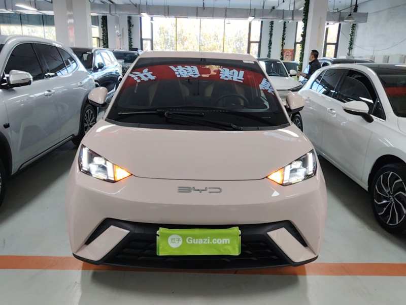 Used BYD Seagull 2023 Flying Edition — 2