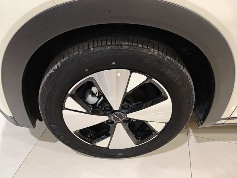 Used BYD Dolphin 2023 420 km Fashion Edition — 22