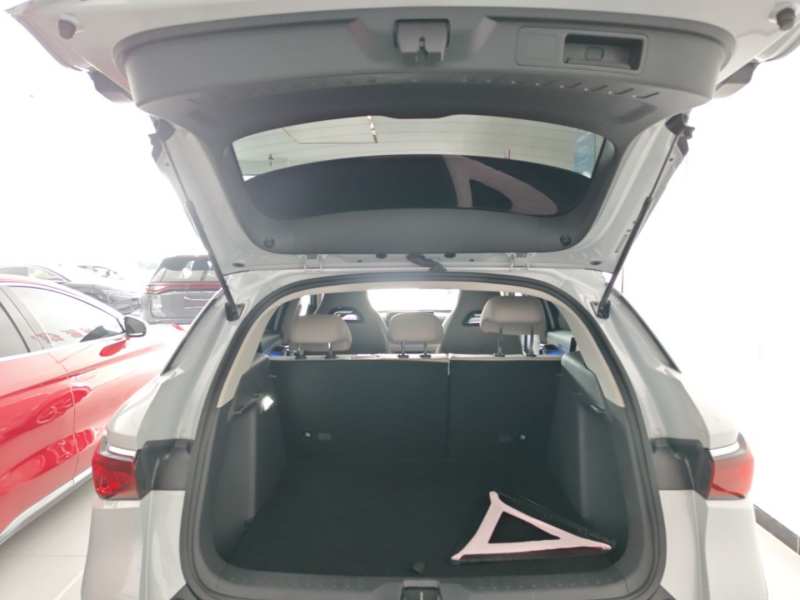 Used BYD Yuan PLUS 2023 Champion Edition 430KM Superior Model — 18