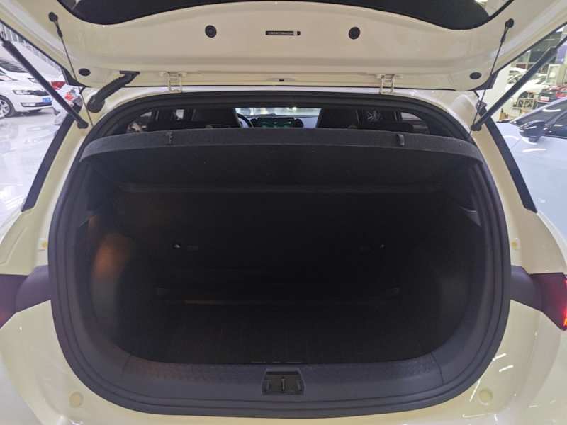 Used BYD Dolphin 2021 405 km Fashion Edition — 18