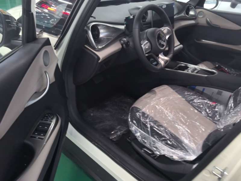 Used BYD Dolphin 2025 420km Free Edition — 15