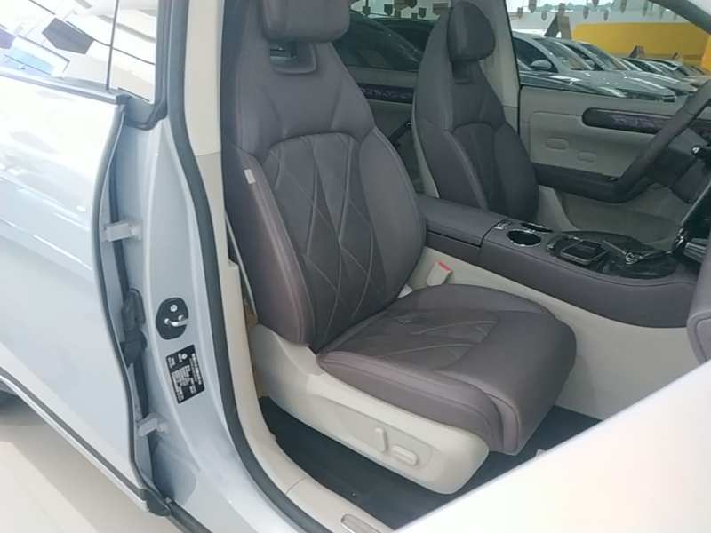 Used Leapmotor C11 2024 Range-Extended 300 Luxury Edition — 24