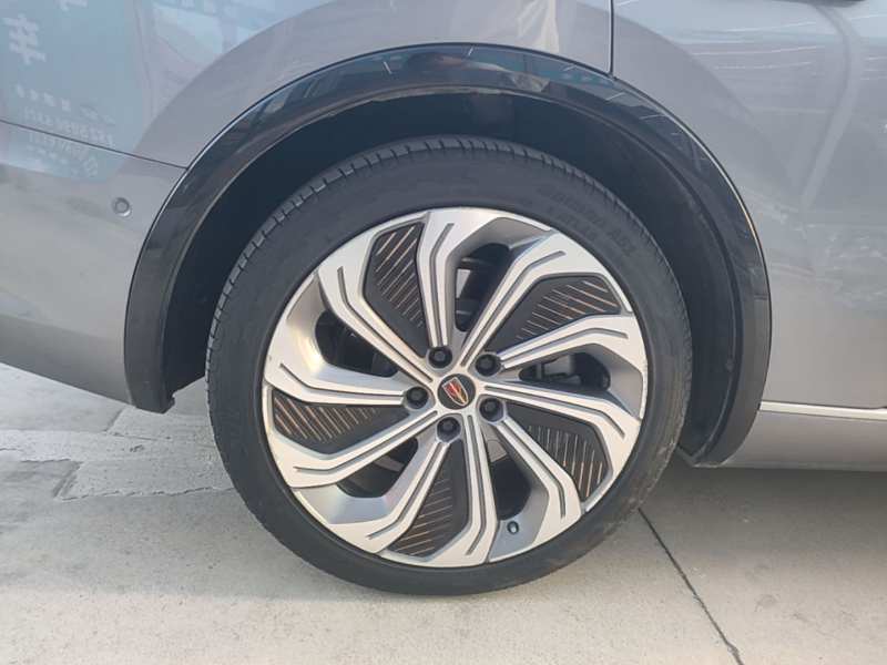 Used Hongqi E-HS9 2021 510 km Flagship Edition Four Seats — 25
