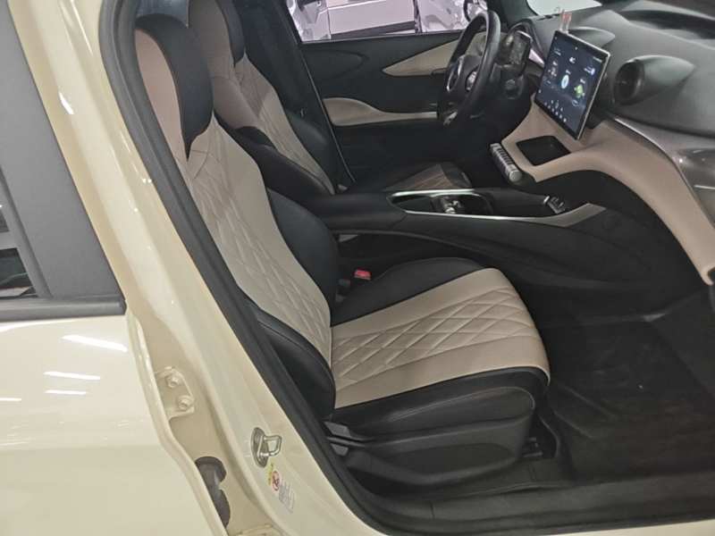 Used BYD Dolphin 2021 405 km Fashion Edition — 24