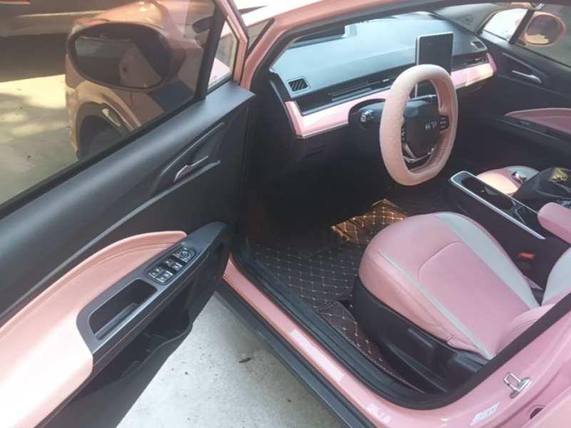 Used NETA V 2022 Chao 400 Lite Pink Custom Edition — 15