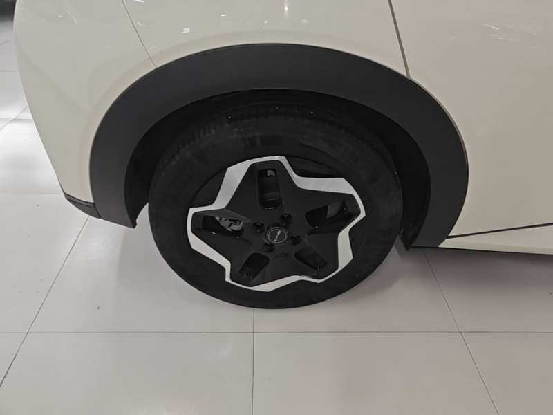Used BYD Dolphin 2021 405 km Fashion Edition — 25