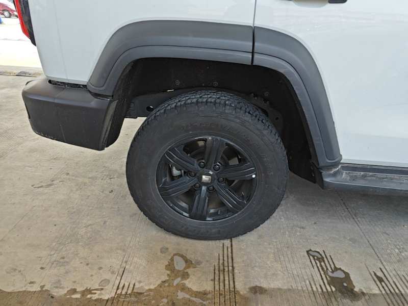 Used Tank 300 2023 Off-Road Edition 2.0T Challenger — 25