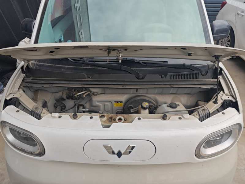 Used Wuling Hongguang MINIEV 2024 3rd Generation 170 km — 19