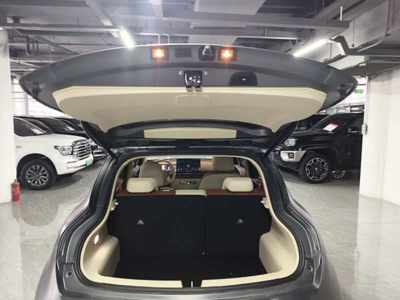 Used ORA Good Cat 2025 Model, 430 km Prestige Version — 18