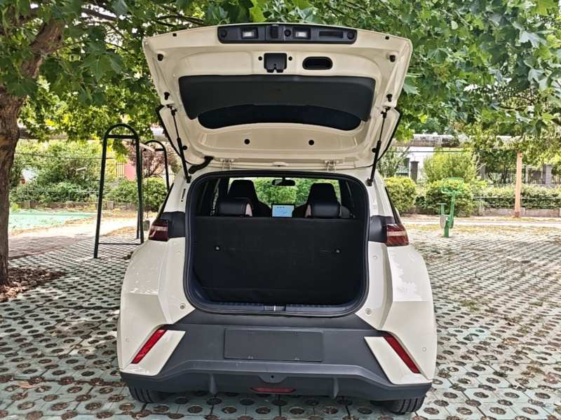 Used BYD Seagull 2023 Free Edition — 18