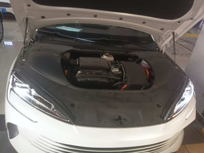 Used BYD Seal 2023 DM-i 1.5L 121km Prestige Model — 19