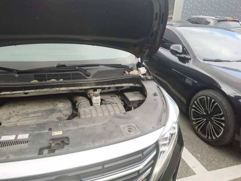 Used GAC Trumpchi M8 2020 Flagship Model 390T Luxury Edition — 23