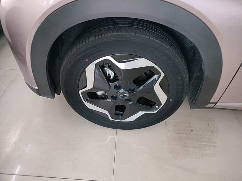 Used BYD Dolphin 2021 405 km Fashion Edition — 22