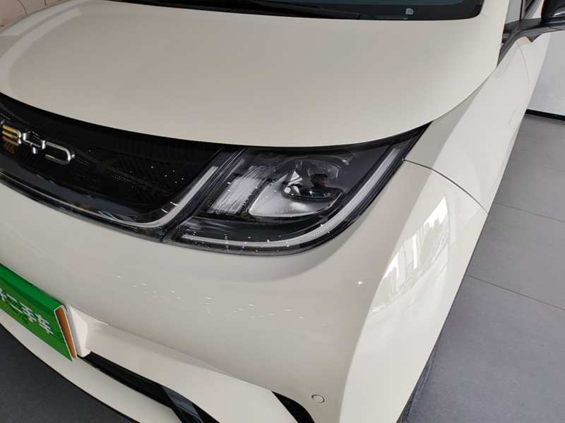Used BYD Dolphin 2023 420 km Fashion Edition — 23
