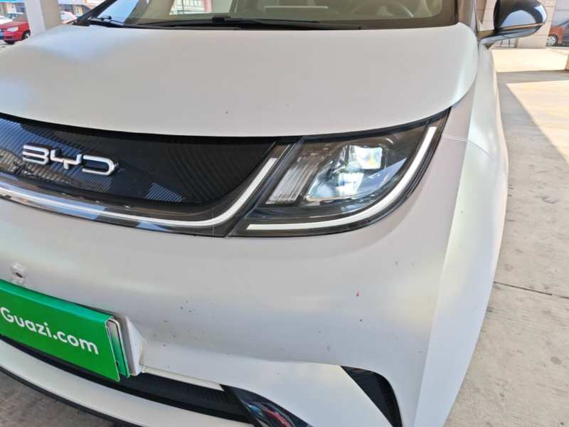 Used BYD Dolphin 2021 405 km Fashion Edition — 23