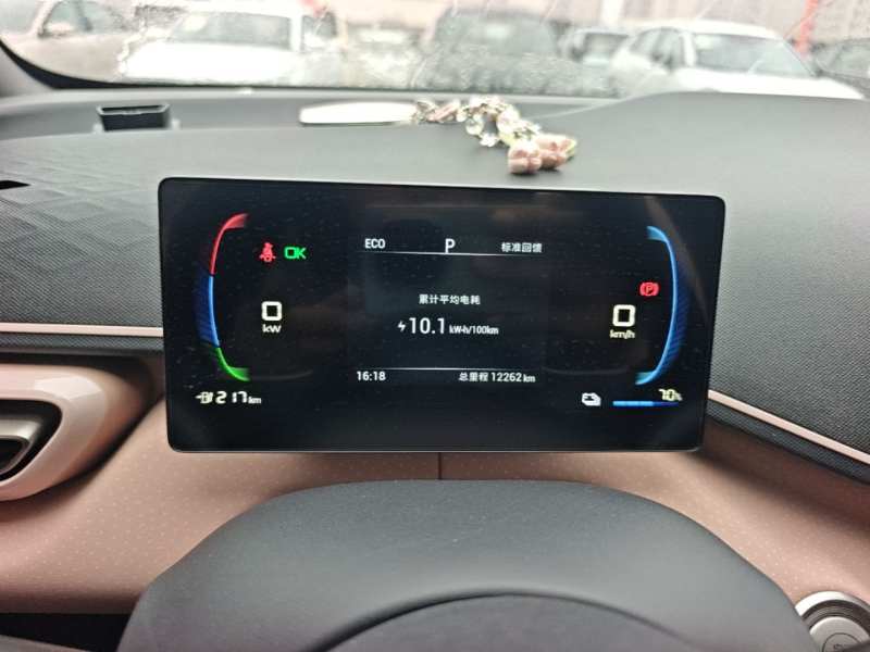 Used BYD Seagull 2023 Active Version — 11