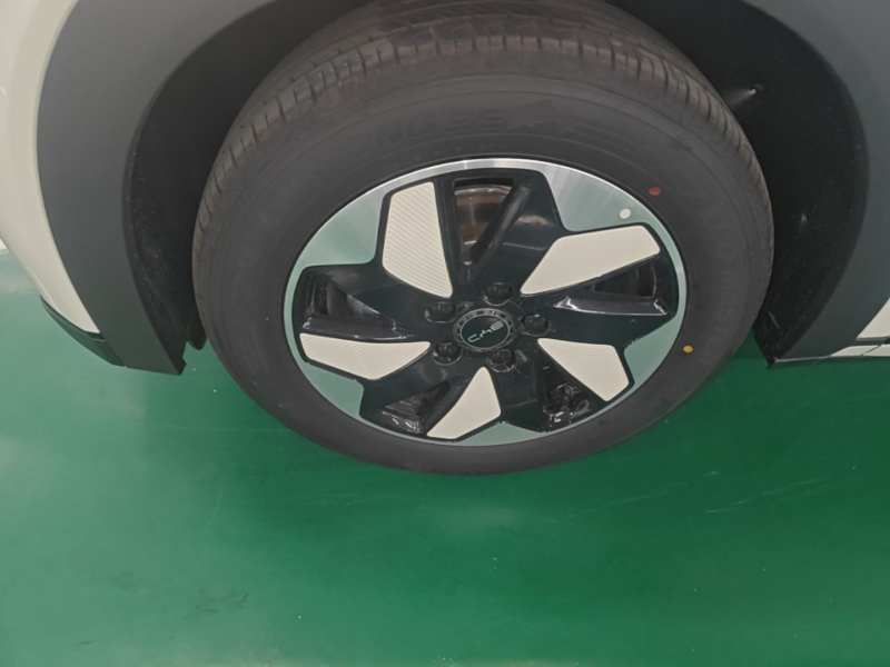 Used BYD Dolphin 2025 420km Free Edition — 22
