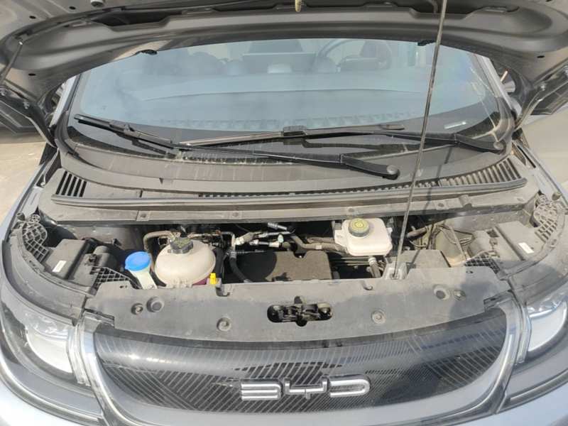 Used BYD Dolphin 2023 420 km Fashion Edition — 19