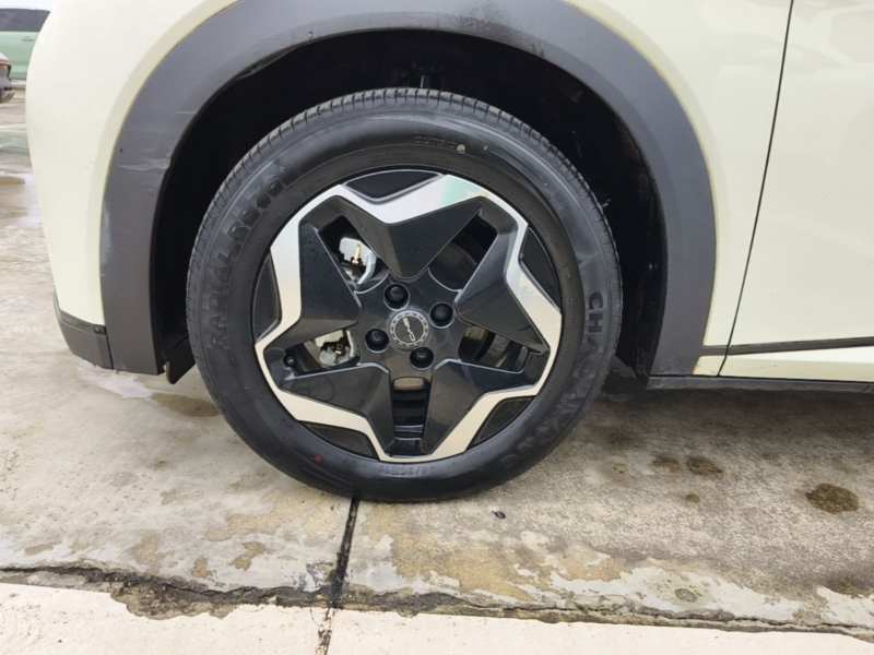 Used BYD Dolphin 2021 405 km Fashion Edition — 22