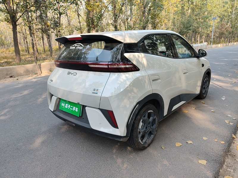 Used BYD Seagull 2025 Smart Drive Version 305 km Freedom Edition — 6