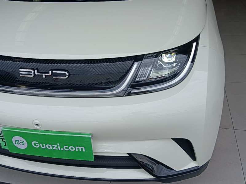Used BYD Dolphin 2023 420 km Free Version — 23