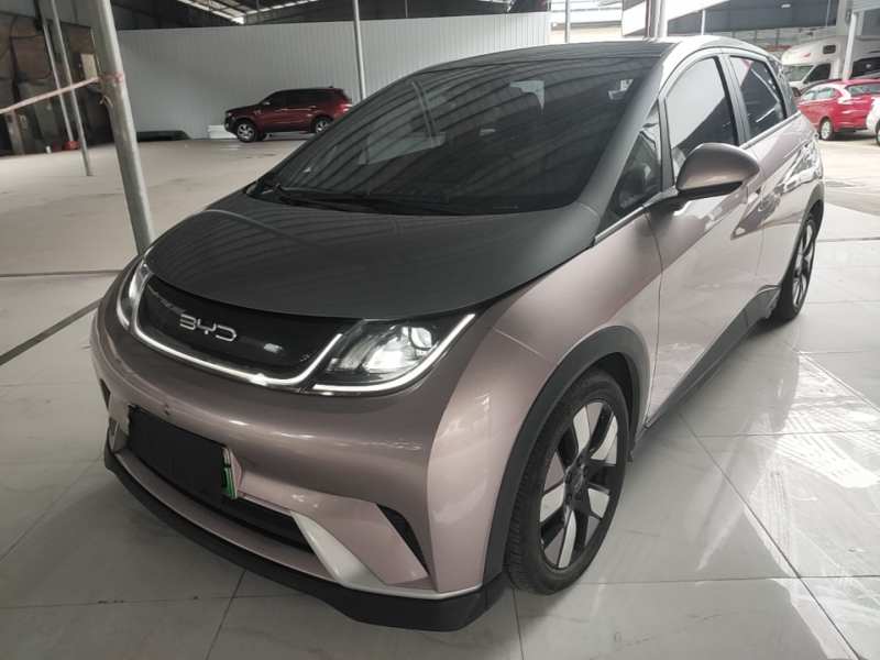 Used BYD Dolphin 2021 401km Knight Edition