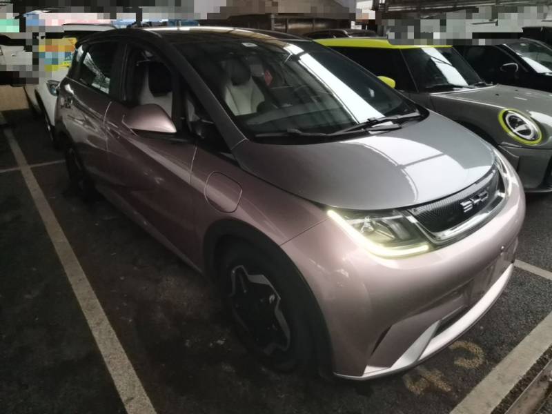 Used BYD Dolphin 2021 405 km Fashion Edition — 3