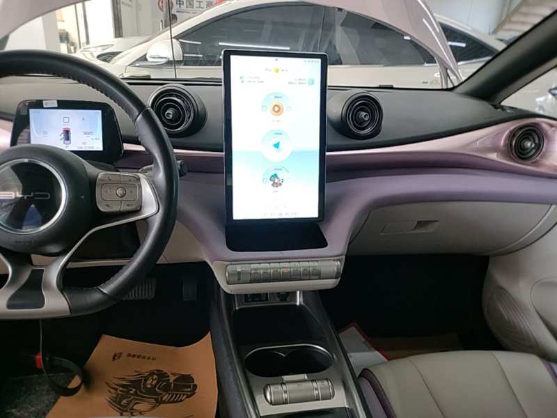 Used BYD Dolphin 2021 405 km Fashion Edition — 12