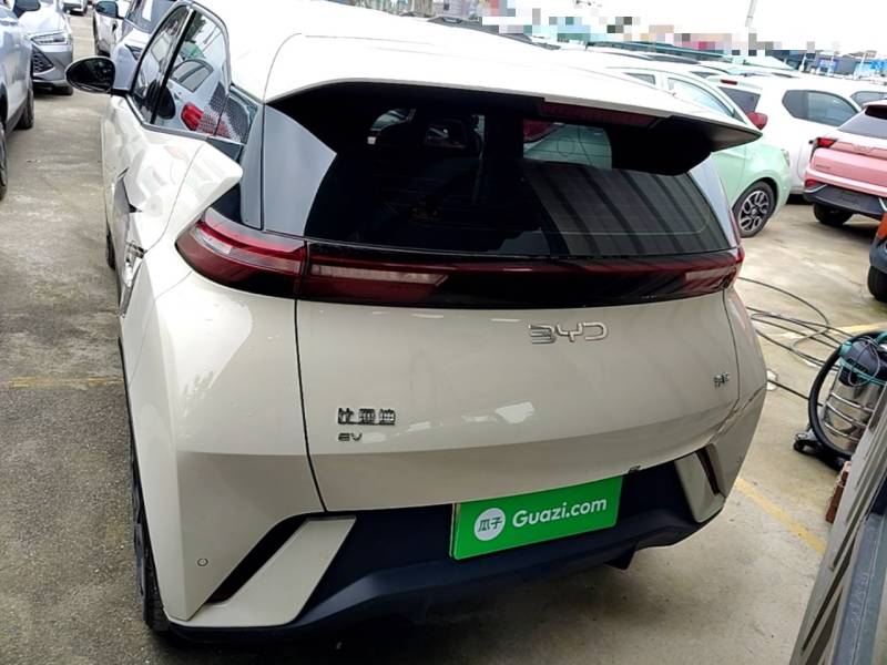 Used BYD Seagull 2024 Honor Edition 305km Freedom Version — 5