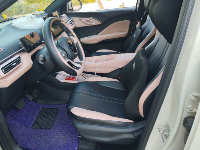 Used BYD Seagull 2024 Honor Edition 305km Dynamic Version — 16