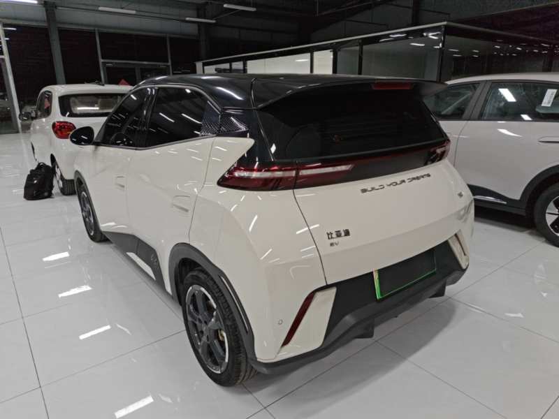 Used BYD Seagull 2023 Free Edition — 4
