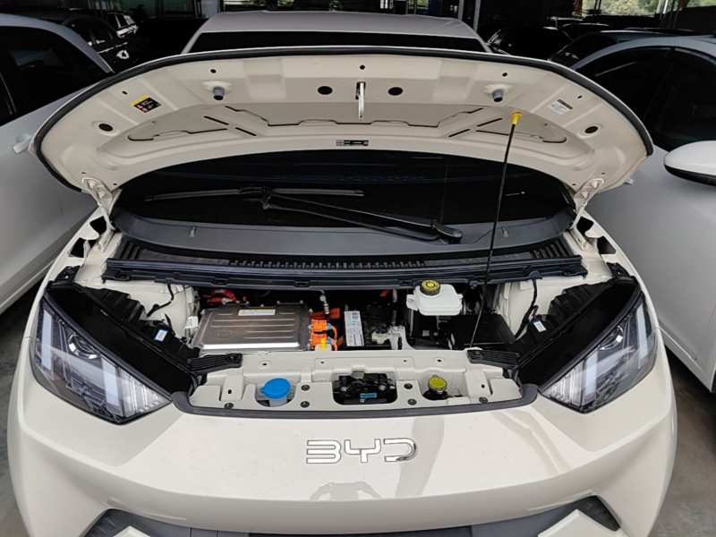 Used BYD Seagull 2025 305 km Free Version — 19