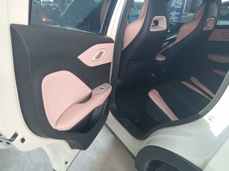 Used BYD Seagull 2023 Free Edition — 16
