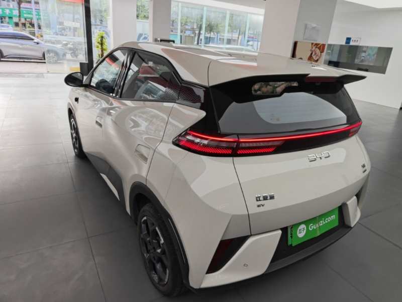 Used BYD Seagull 2025 Smart Drive Version 305 km Freedom Edition — 4