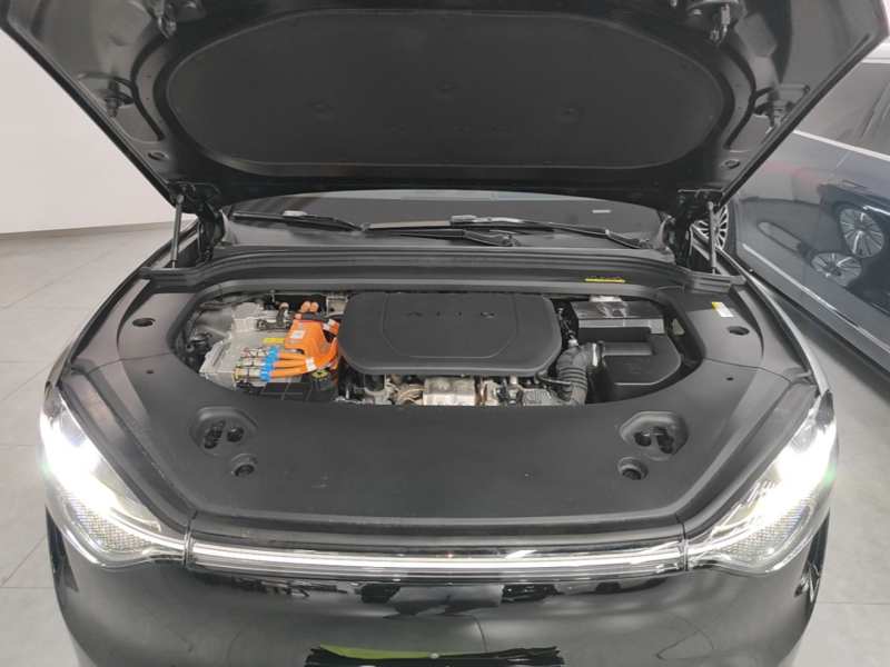 Used AITO/LUXEED/MAEXTRO/SAIC/STELATO AITO M9 2024 Range-Extended Ultra Version 42 kWh 6-Seater Model — 19