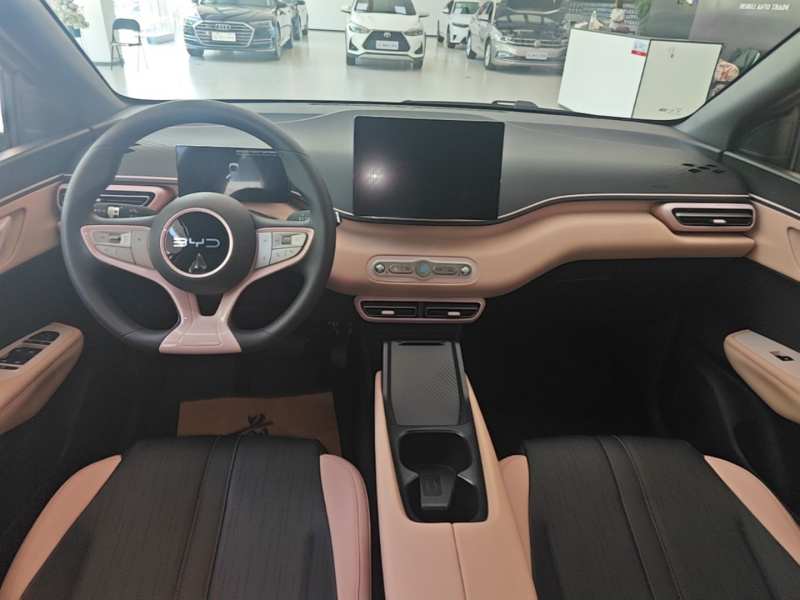 Used BYD Seagull 2025 305km Active Version — 9