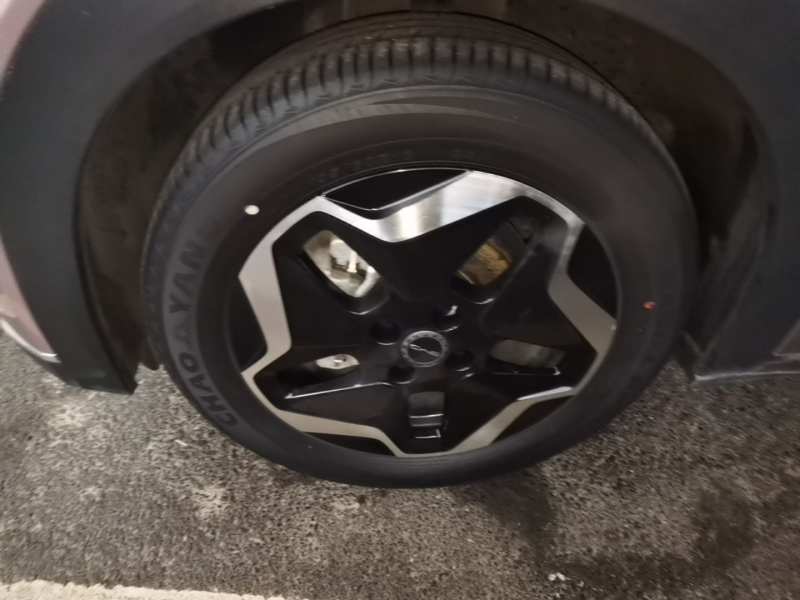 Used BYD Dolphin 2021 405 km Fashion Edition — 22