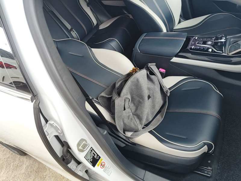 Used BYD Qin PLUS 2021 EV 400KM Luxury Model — 24