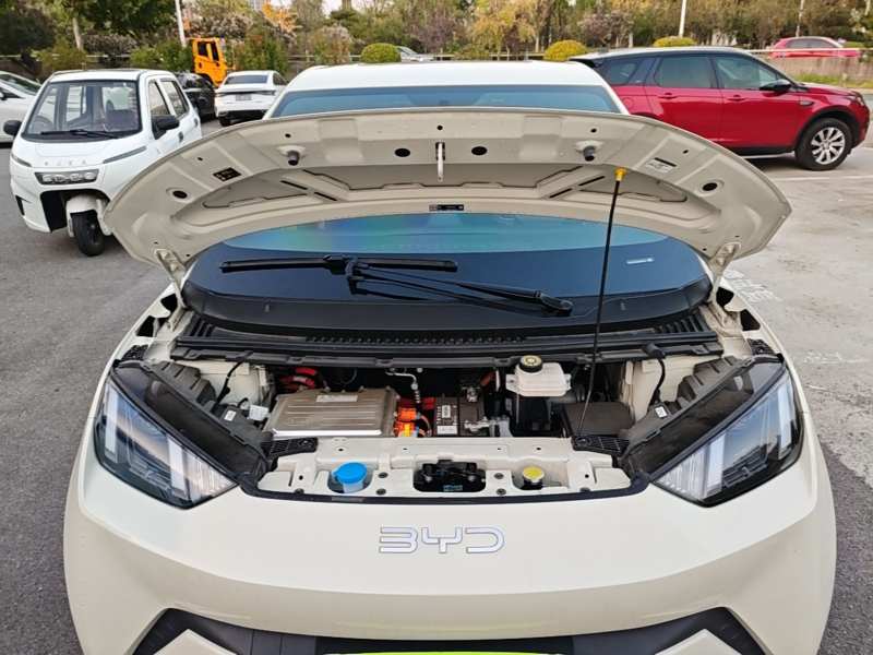 Used BYD Seagull 2025 305 km Free Version — 19