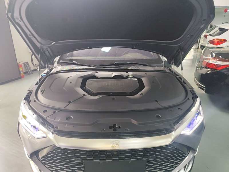 Used BYD Han 2020 DM Four-Wheel Drive Performance Edition Luxury Model — 19
