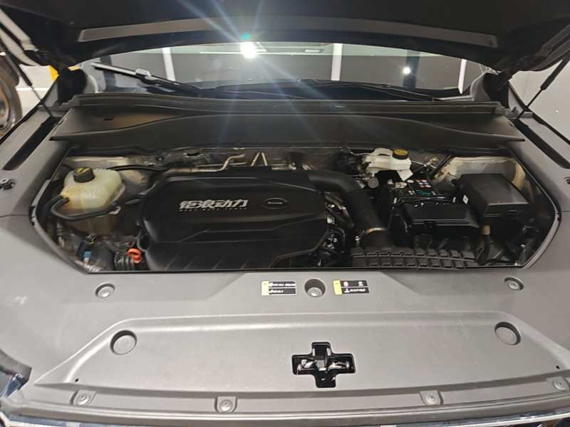 Used GAC Trumpchi GS8 2025 Linghang Series 2.0 TGDI Two-Wheel-Drive Luxury Edition 5 Seats — 19