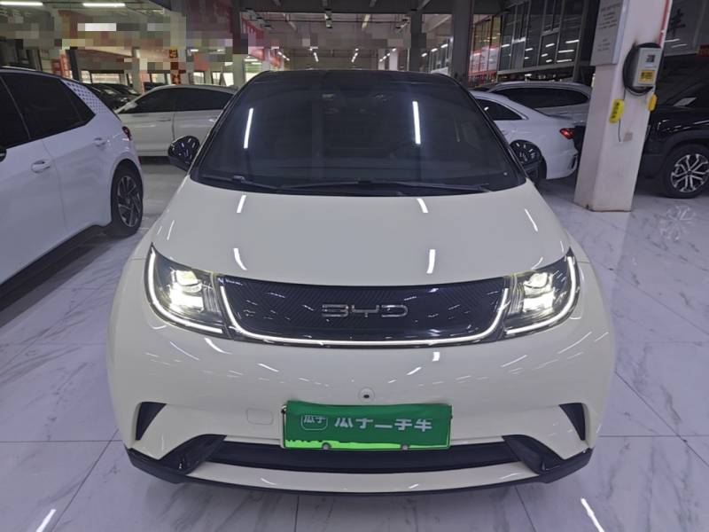 Used BYD Dolphin 2021 405 km Fashion Edition — 2